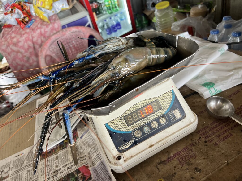 えび