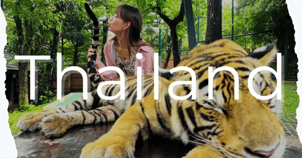 Thailand Tiger Phuket